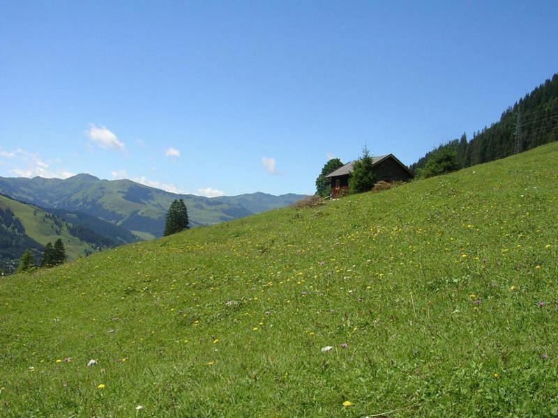 Langeck Maria Alm am Steinernen Meer